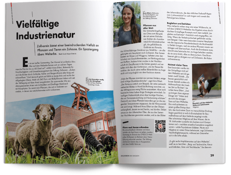 Zoll Verein Magazin Heft 24 Mock up von Aufgeschlagenen Seite