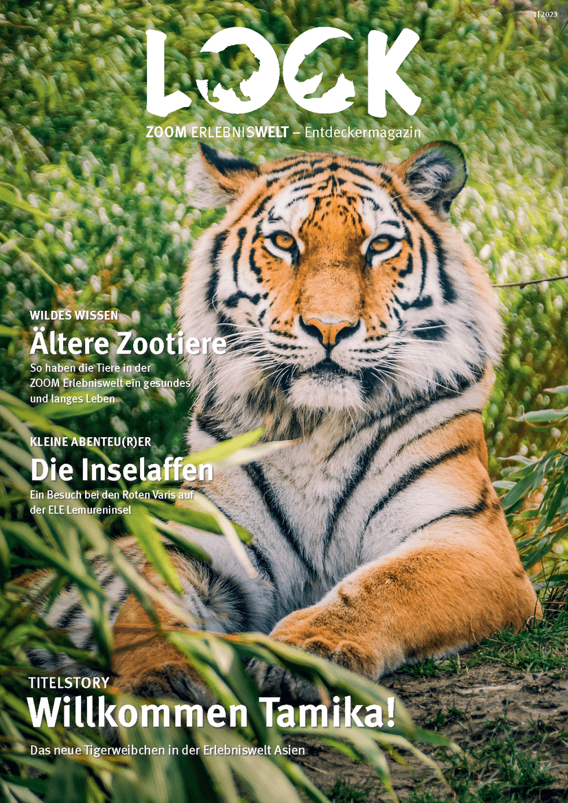 Coverbilder von einer Ausgabe des magazins