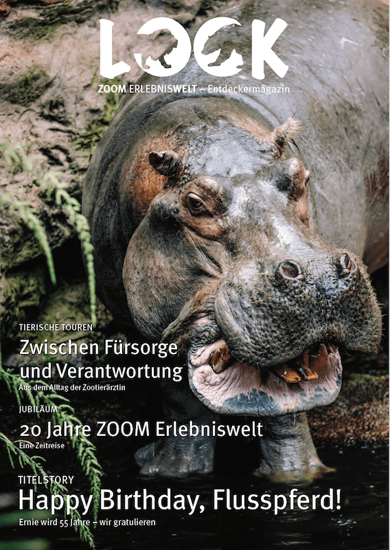 Coverbilder von einer Ausgabe des magazins