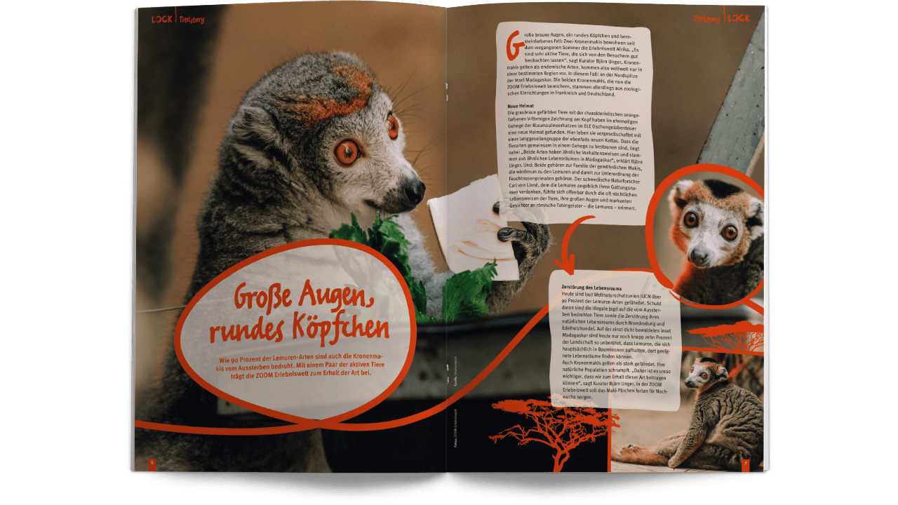 Aufgeschlagenes LOOK Entdeckermagazin